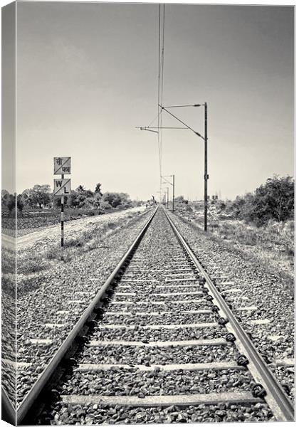 Railroad track through India heading to Surat Canvas Print by Arfabita  