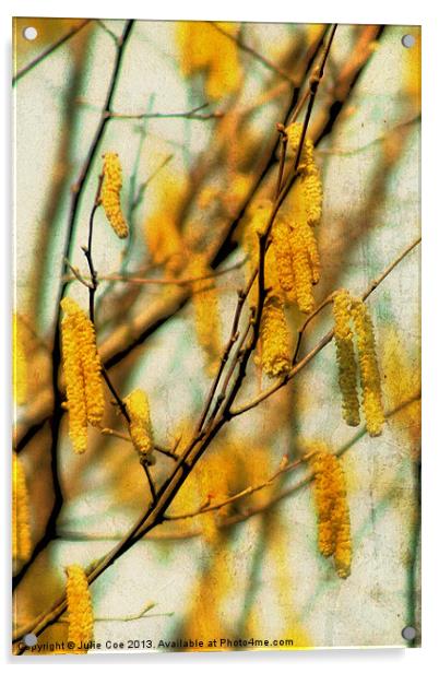 Catkins 2 Acrylic by Julie Coe
