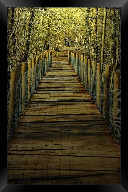 Wetland Footbridge Framed Print by Mark  F Banks