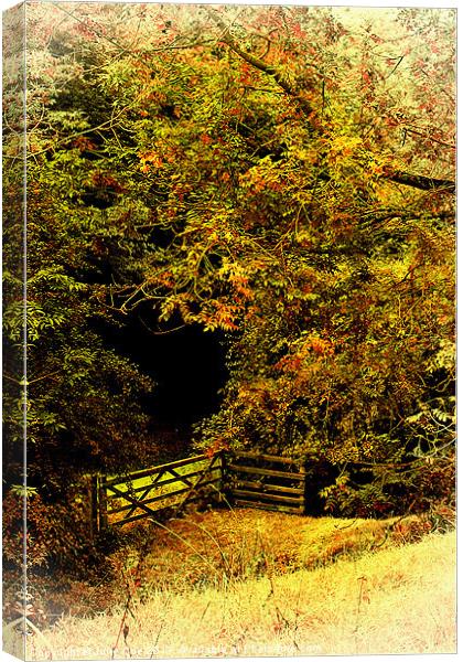 Meadow Gate Canvas Print by Julie Coe