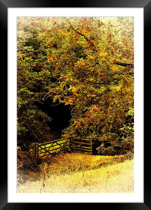 Meadow Gate Framed Mounted Print by Julie Coe