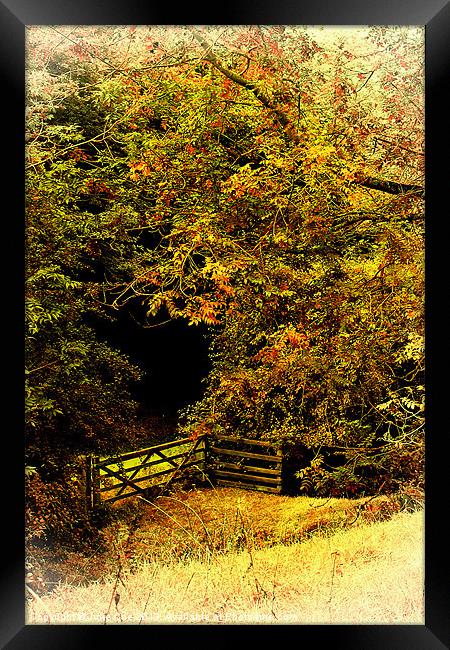 Meadow Gate Framed Print by Julie Coe