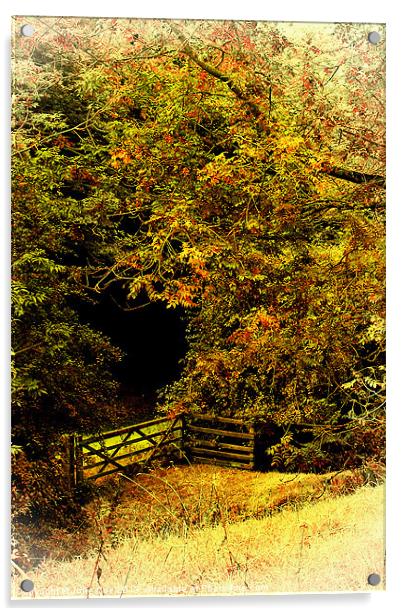 Meadow Gate Acrylic by Julie Coe