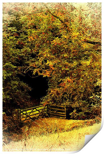 Meadow Gate Print by Julie Coe