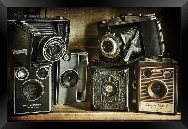 Vintage Cameras Framed Print by James Rowland