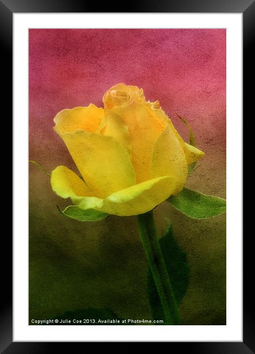 Pink, Green and Yellow Framed Mounted Print by Julie Coe