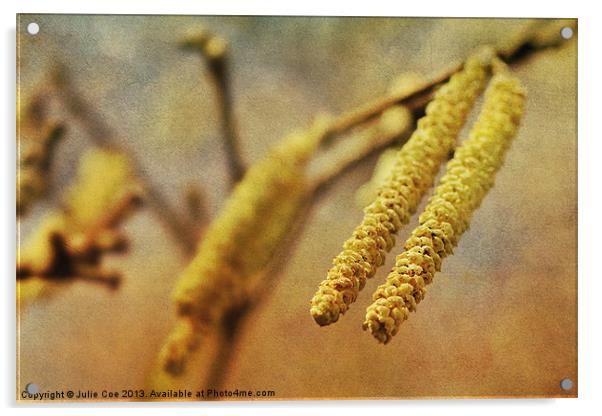 Catkins 3 Acrylic by Julie Coe