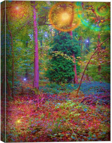 Forest Carnival of Colours. Canvas Print by Heather Goodwin