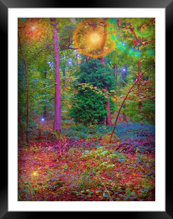 Forest Carnival of Colours. Framed Mounted Print by Heather Goodwin