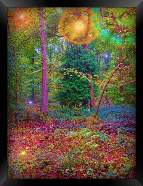 Forest Carnival of Colours. Framed Print by Heather Goodwin