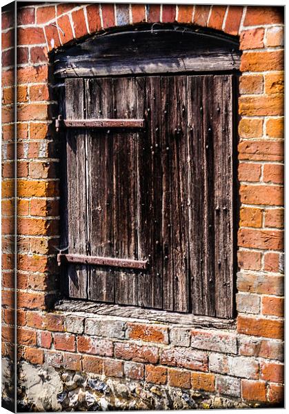 Old Wooden Door Canvas Print by Mark Llewellyn