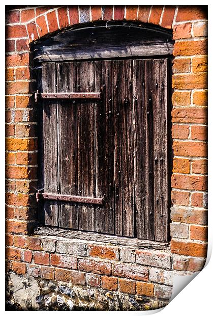 Old Wooden Door Print by Mark Llewellyn