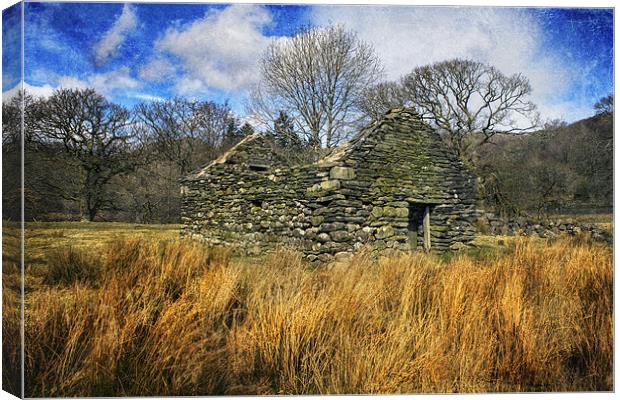 Old Farmhouse With Textures Canvas Print by Ian Mitchell