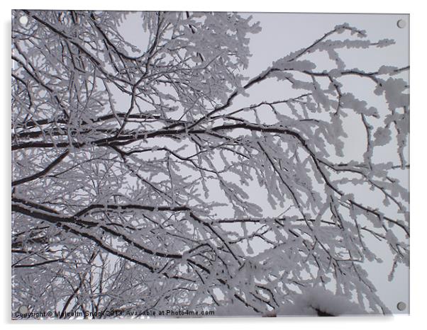 Snow Pattern Acrylic by Malcolm Snook