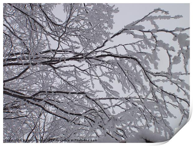 Snow Pattern Print by Malcolm Snook