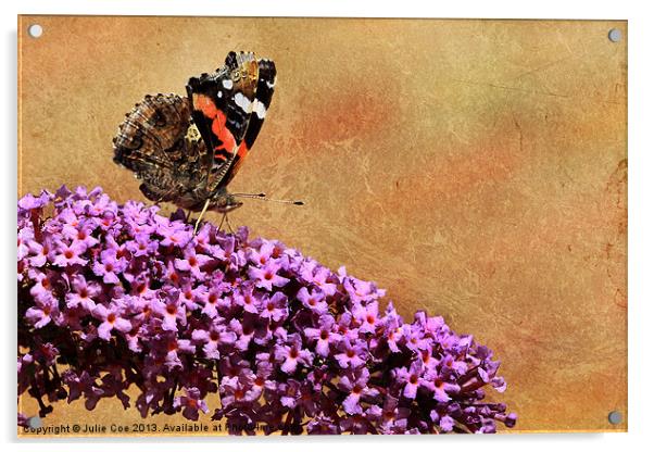 Red Admiral Acrylic by Julie Coe