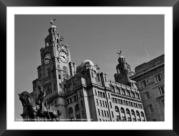 Royal Liver Building Liverpool Framed Mounted Print by Sandra Buchanan