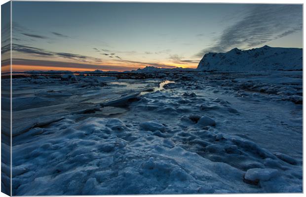 Icefield sunset Canvas Print by Thomas Schaeffer