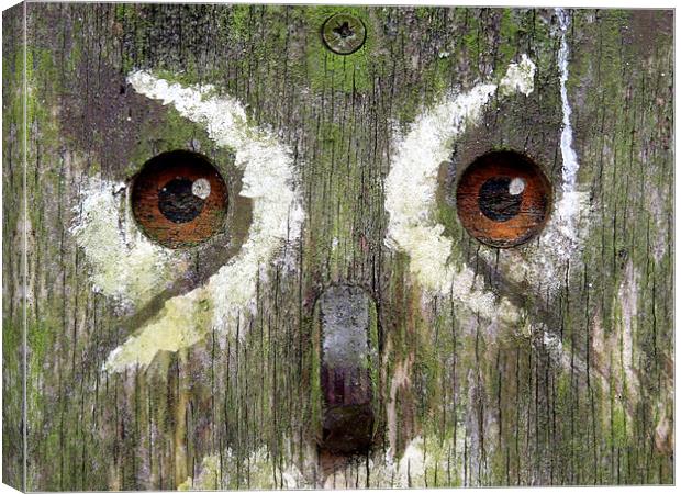 wooden owl Canvas Print by Heather Newton