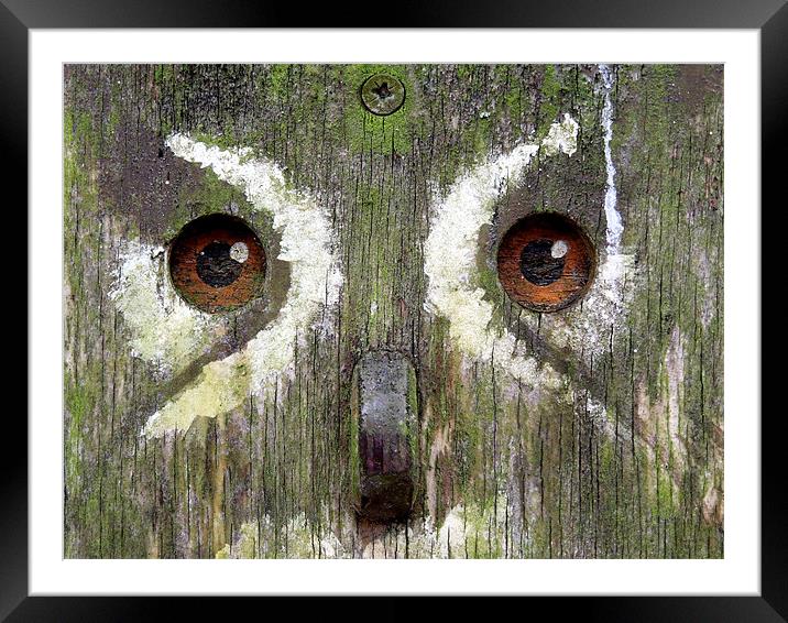 wooden owl Framed Mounted Print by Heather Newton