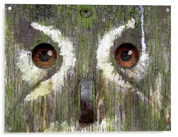 wooden owl Acrylic by Heather Newton