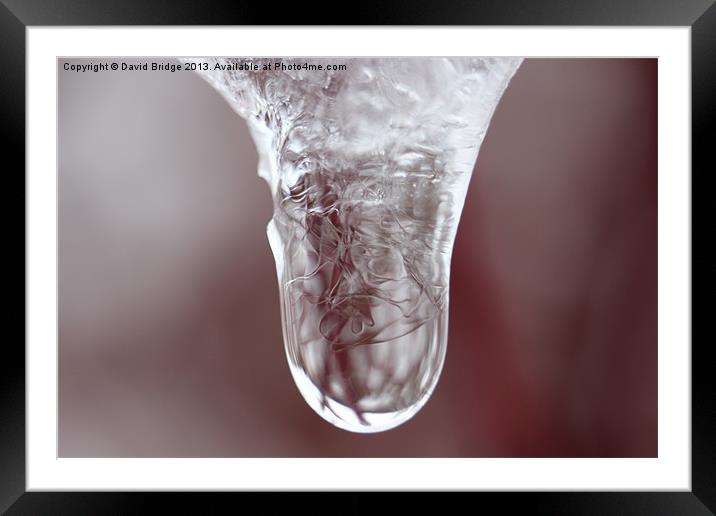 Ice Drop Melting Framed Mounted Print by David Bridge