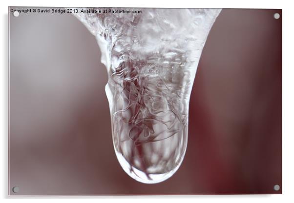 Ice Drop Melting Acrylic by David Bridge
