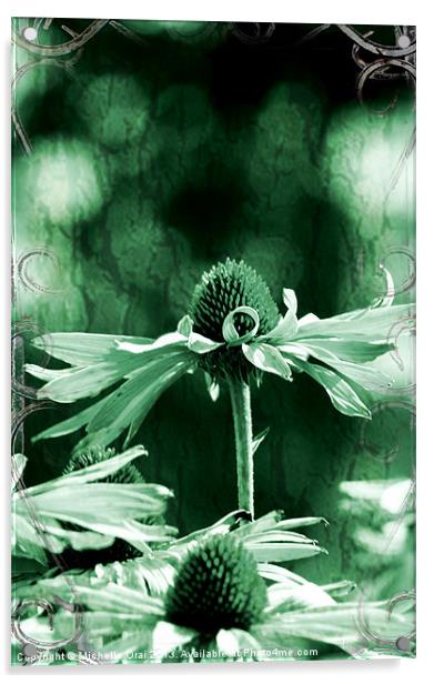 Echinacea Acrylic by Michelle Orai