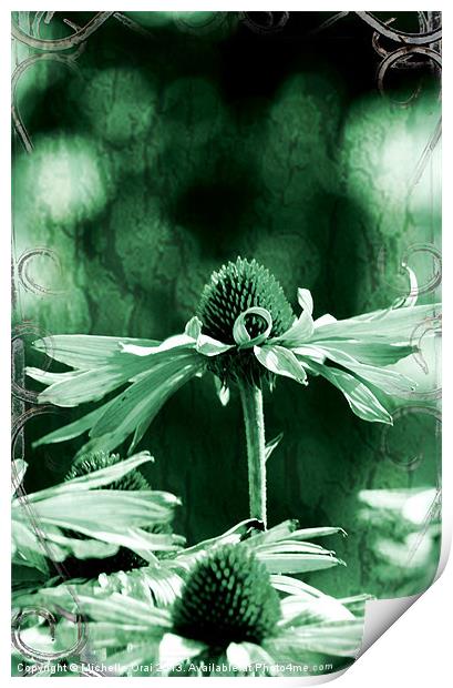 Echinacea Print by Michelle Orai