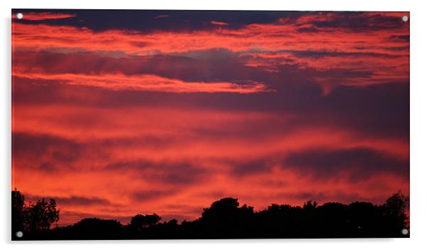 Gornal Sunset  Acrylic by Dave Holt