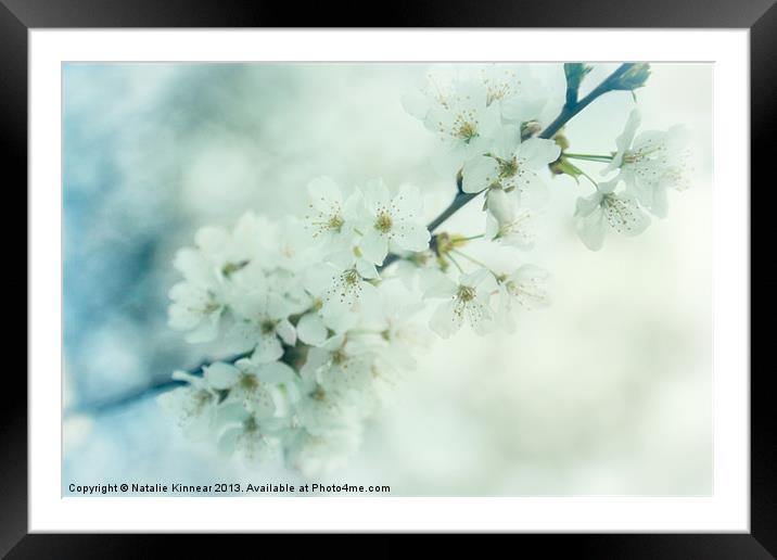 Nostalgic Blossom Framed Mounted Print by Natalie Kinnear