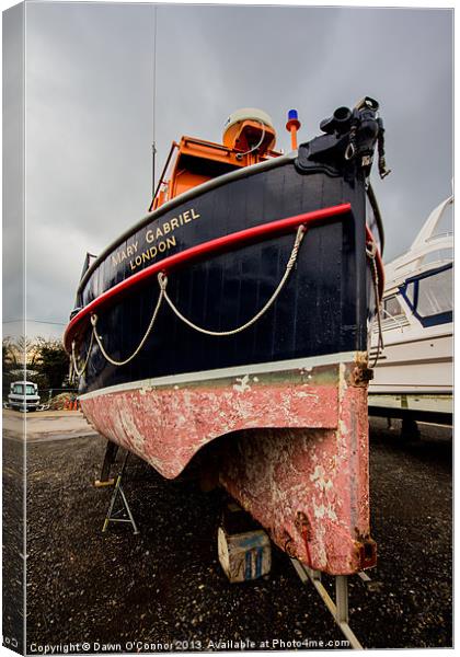 Lifeboat Canvas Print by Dawn O'Connor