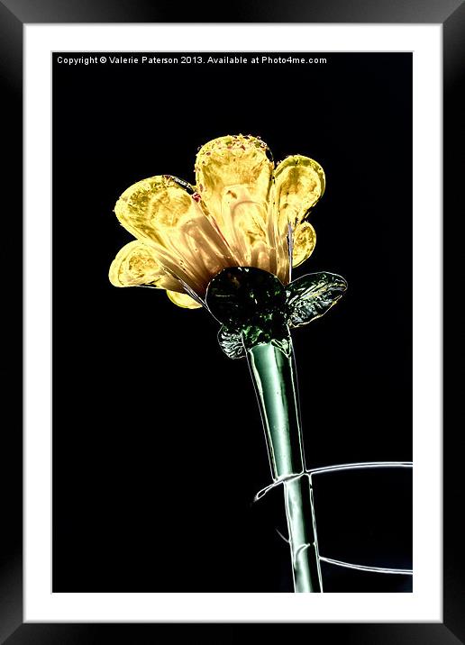 Glass Flower Framed Mounted Print by Valerie Paterson