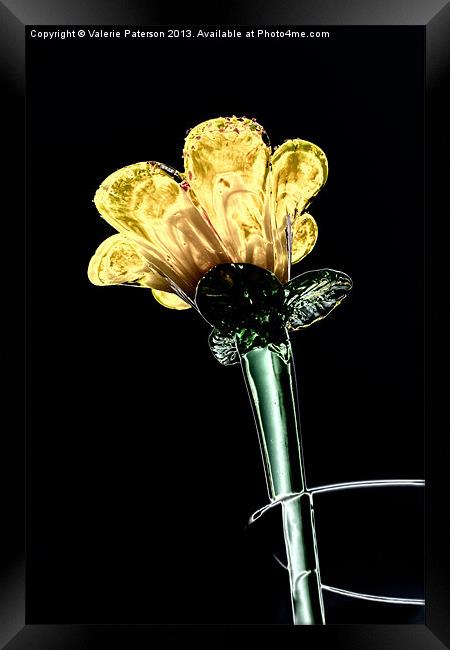 Glass Flower Framed Print by Valerie Paterson