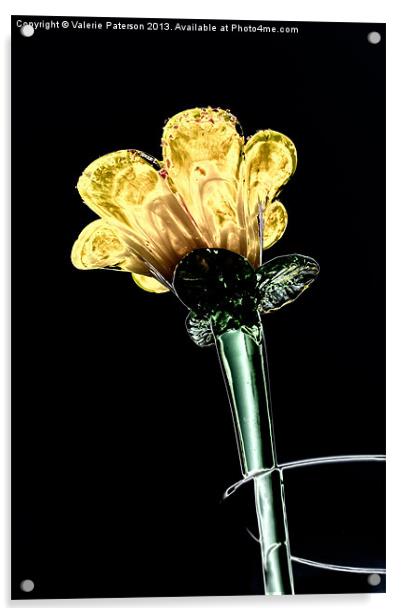 Glass Flower Acrylic by Valerie Paterson