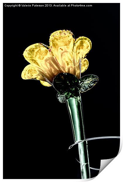 Glass Flower Print by Valerie Paterson