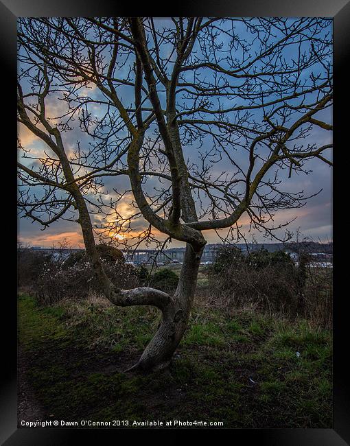 Spring Sunset Framed Print by Dawn O'Connor