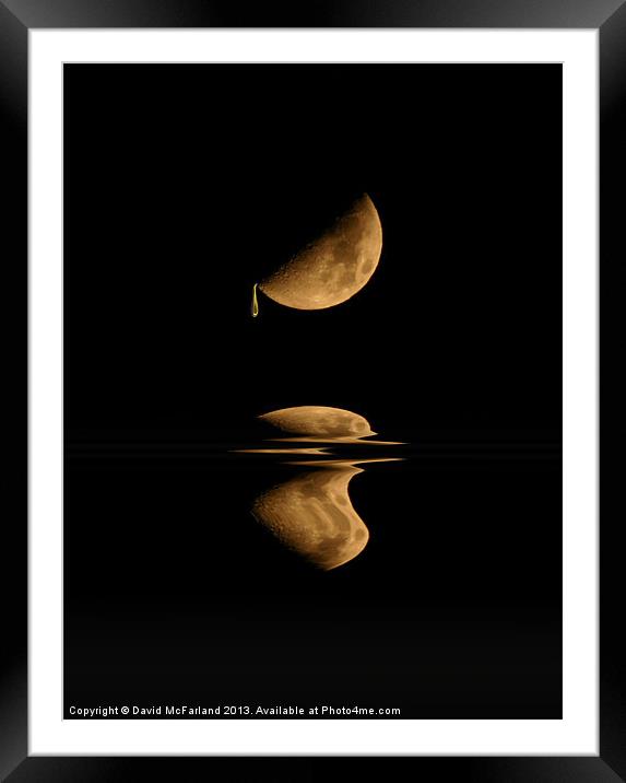 Golden Moondrops Framed Mounted Print by David McFarland