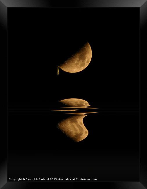 Golden Moondrops Framed Print by David McFarland