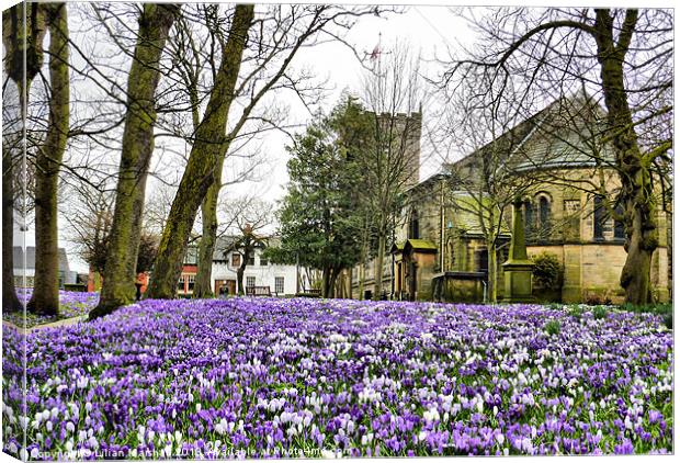 Spring time at St Chads. Canvas Print by Lilian Marshall
