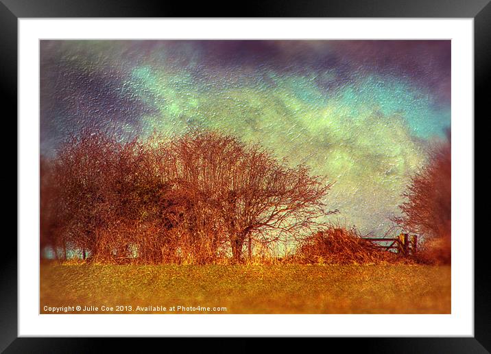 Go Through The Gate Framed Mounted Print by Julie Coe