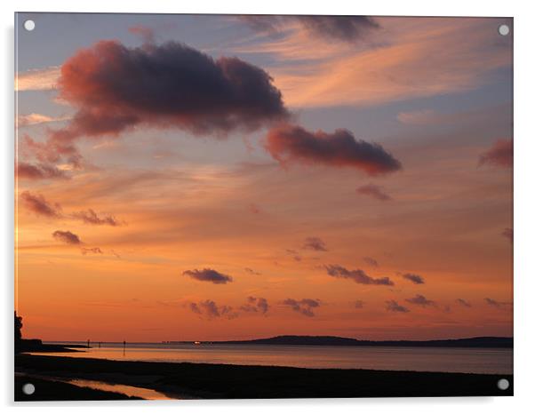 Estuary Sunset  Acrylic by Richard Penlington