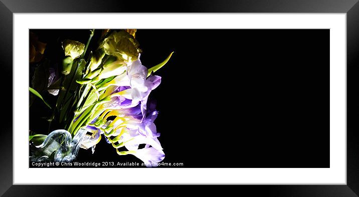 Freesia, Carnation and Tulip mix Framed Mounted Print by Chris Wooldridge