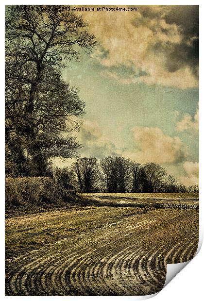 Wintery Print by Julie Coe