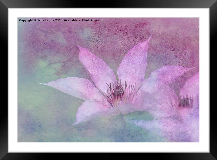 Heavenly Petals Framed Mounted Print by Betty LaRue
