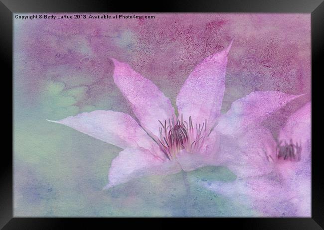 Heavenly Petals Framed Print by Betty LaRue