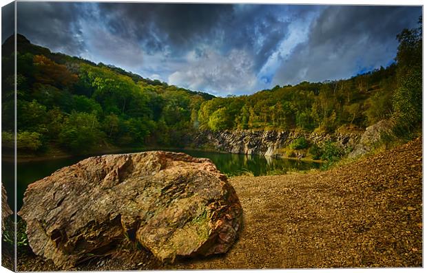 The Quarry Canvas Print by Ian Law