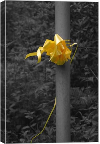 Yellow Ribbon Canvas Print by Liam Ellis