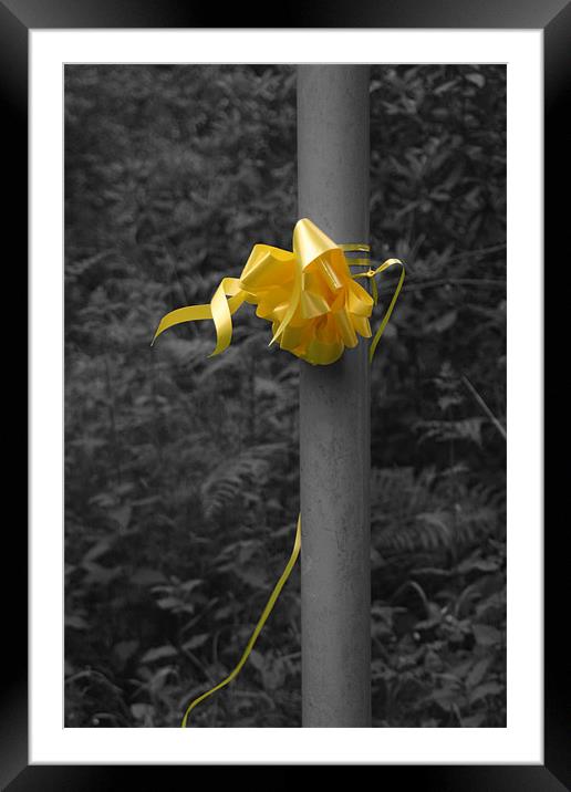 Yellow Ribbon Framed Mounted Print by Liam Ellis