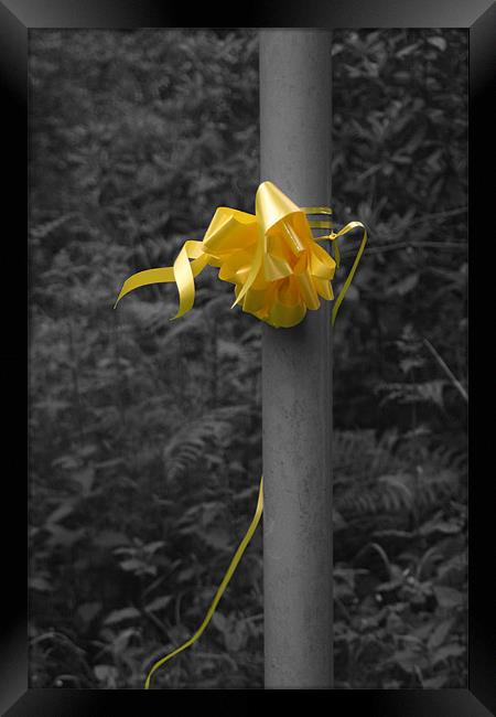Yellow Ribbon Framed Print by Liam Ellis